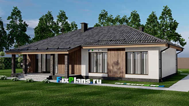Проект одноэтажного дома F-8081 — вид со двора